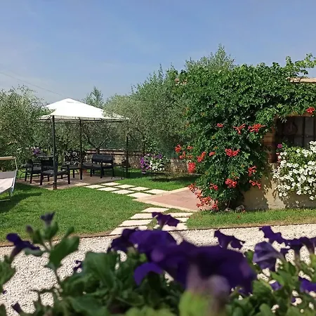 Bed and Breakfast Le Zampolle